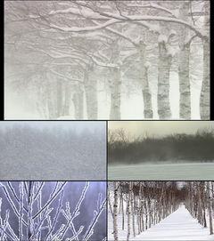 大雪欧美风景视频,大雪风景视频赏析