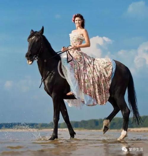 骑马欧美美女视频,一场视觉盛宴的浪漫演绎