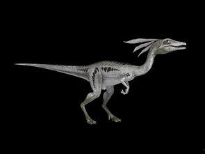 欧美恐龙动画视频大全,穿越时空的奇幻之旅