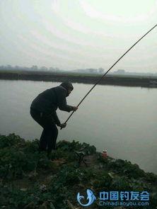 欧美达人钓鱼视频,视频教你轻松成为钓鱼高手