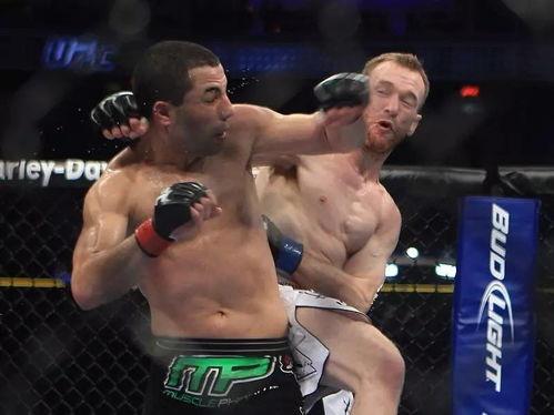 擂台欧美格斗视频大全,精彩对决大盘点