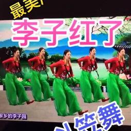 欧美爷爷舞蹈视频,跨越年龄的欢乐舞动