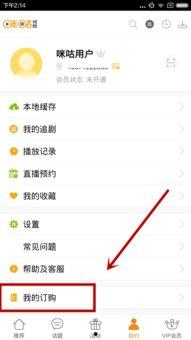 欧美视频手机国产,国产崛起的挑战与机遇