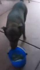 欧美游客乞讨视频大全,欧美游客视角下的街头乞讨现象全纪录